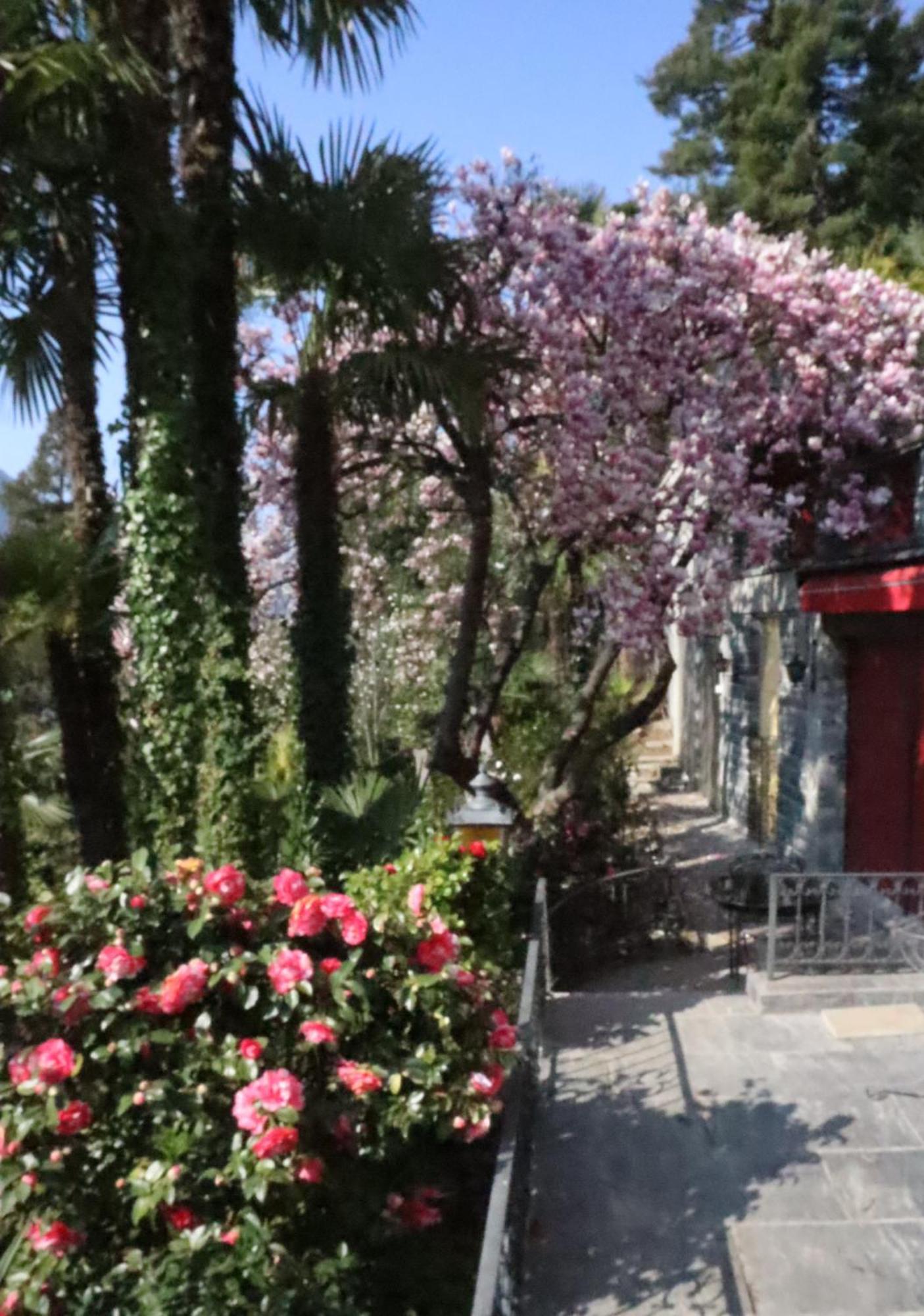 Barony Le Pergole Holiday Apartments Лугано Екстер'єр фото